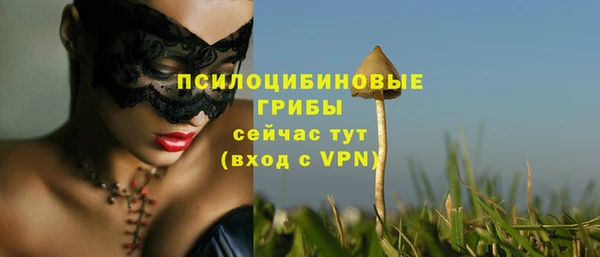 PSILOCYBIN Михайловка