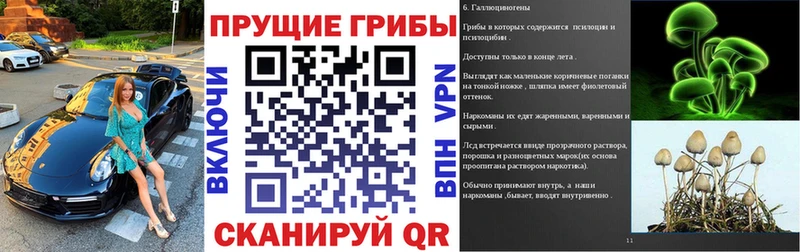 купить   Ростов-на-Дону  Псилоцибиновые грибы Magic Shrooms 