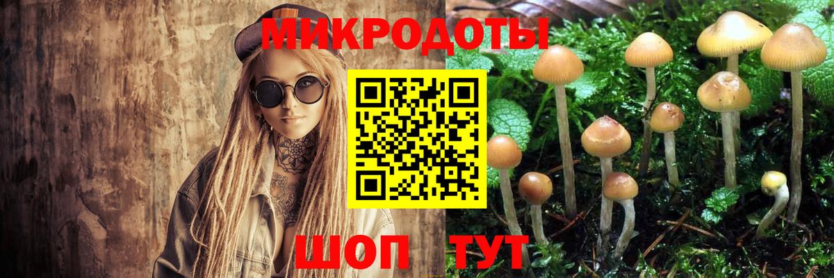 Псилоцибиновые грибы мухоморы Ростов-на-Дону