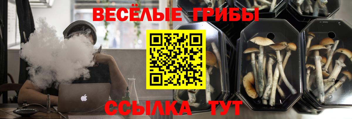 Ростов-на-Дону  Галлюциногенные грибы MAGIC MUSHROOMS  Вход с VPN  Галлюциногенные грибы Magic Shrooms 